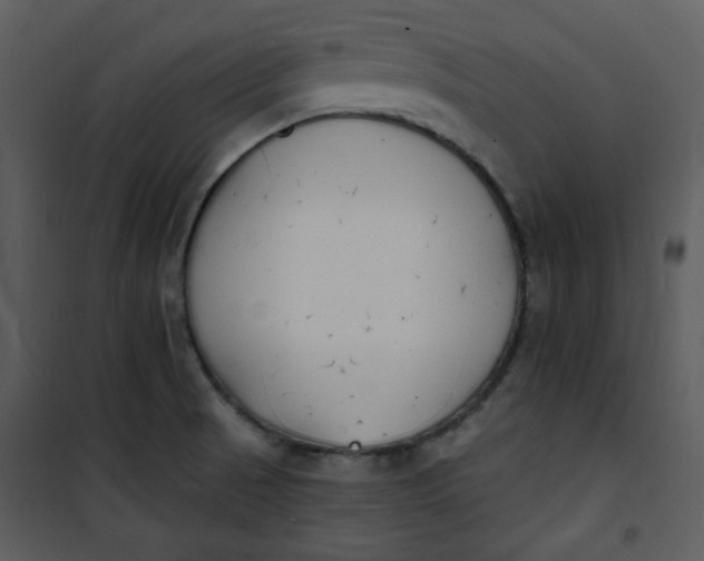 X0000101231521200807181551