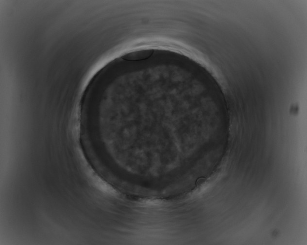 X0000101231522200807181551