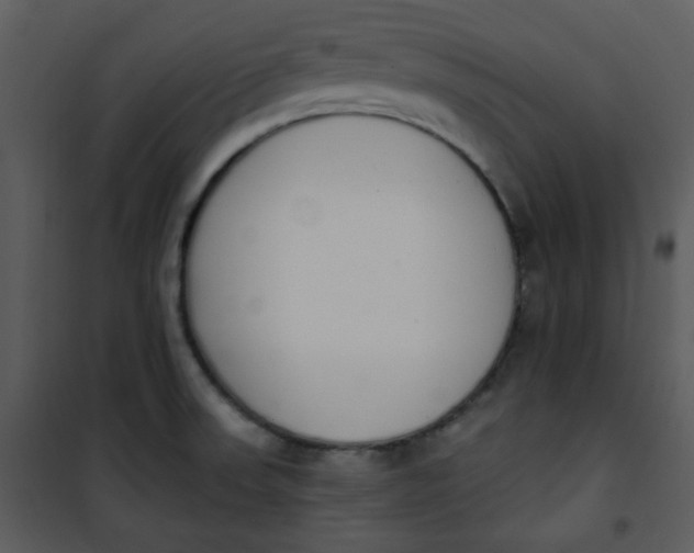 X0000101231523200807181551