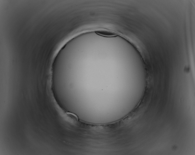 X0000101231524200807181551