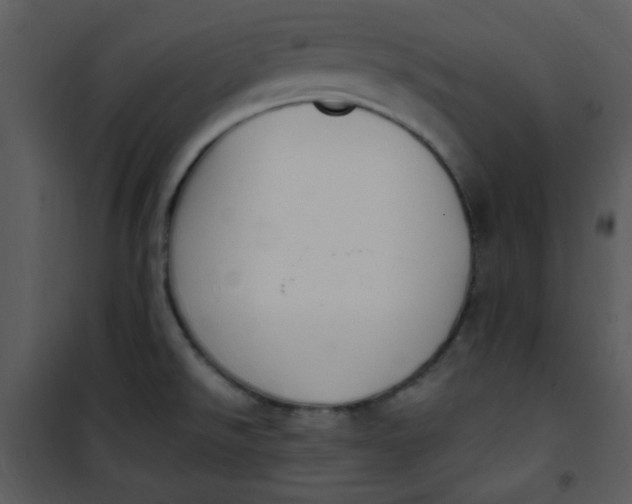 X0000101231526200807181551