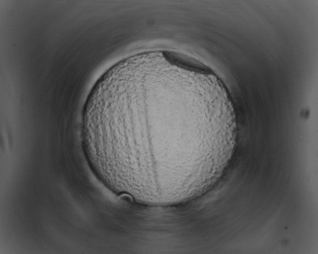 X0000101231527200807181551