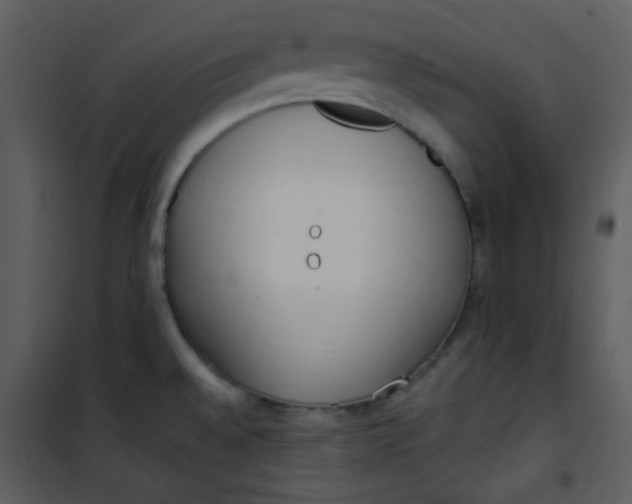 X0000101231528200807181551