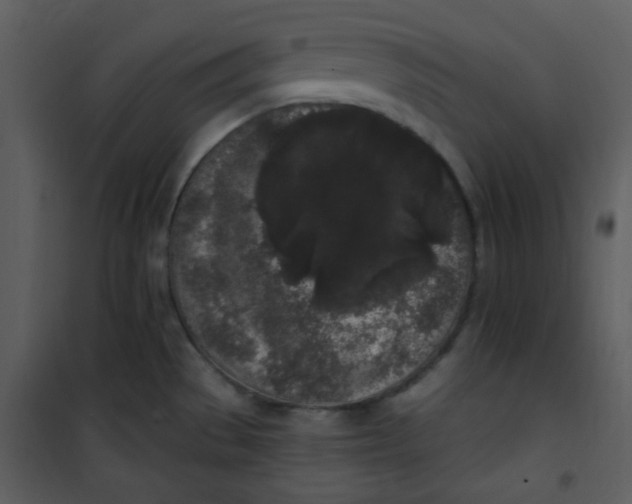 X0000101231529200807181551