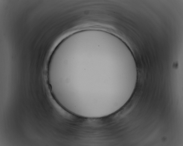 X0000101231531200807181551