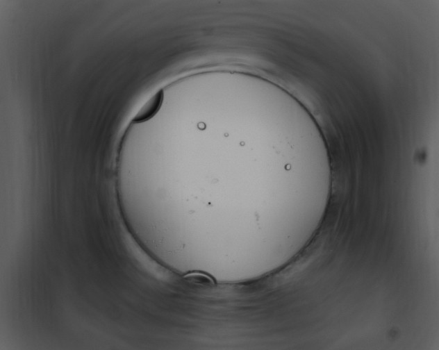 X0000101231532200807181551