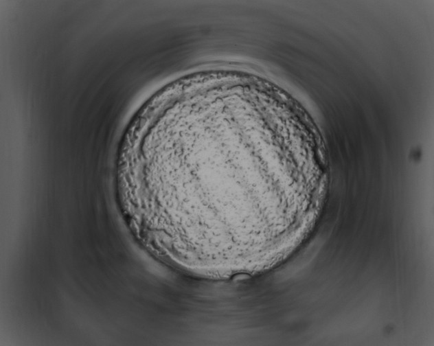 X0000101231533200807181551