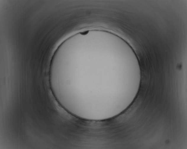 X0000101231534200807181551