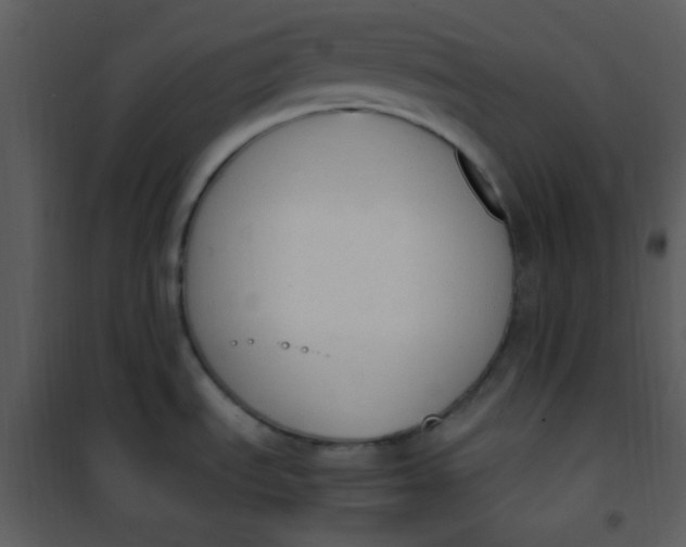 X0000101231535200807181551