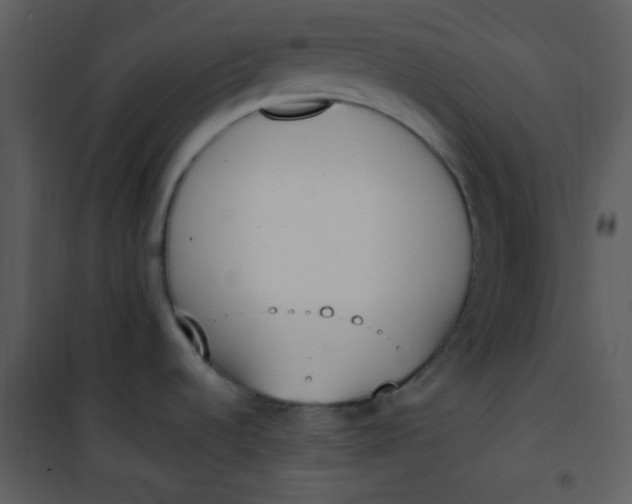 X0000101231536200807181551