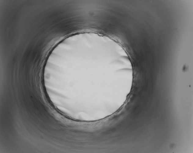 X0000101230001200807251145