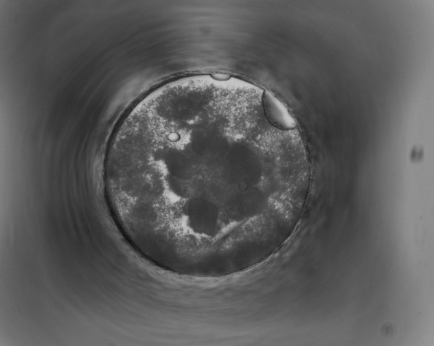 X0000101230002200807251145