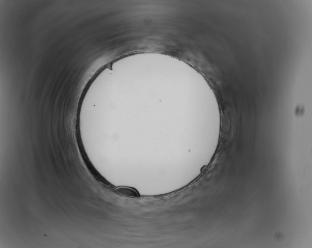 X0000101230003200807251145