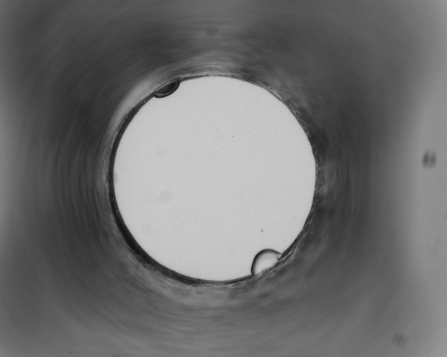 X0000101230004200807251145