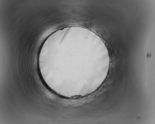 X0000101230005200807251145