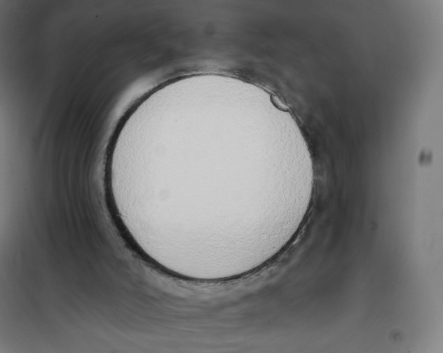 X0000101230006200807251145