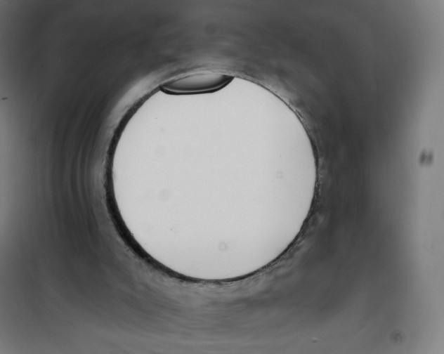 X0000101230007200807251145