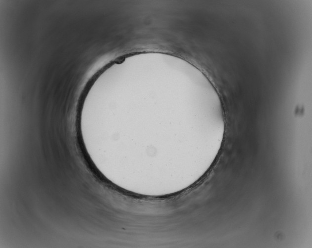 X0000101230008200807251145