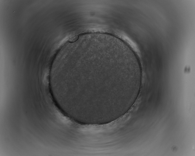 X0000101230009200807251145