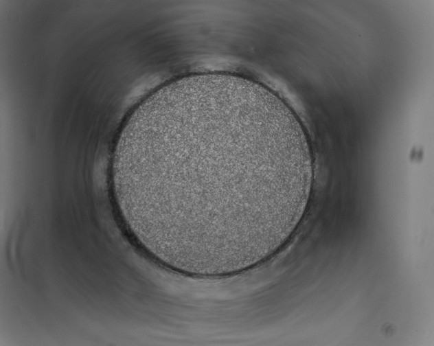 X0000101230010200807251145