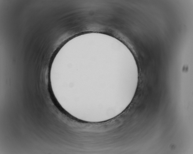 X0000101230011200807251145