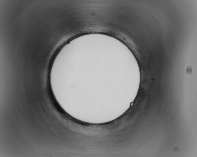 X0000101230012200807251145