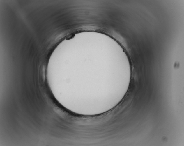 X0000101230013200807251145
