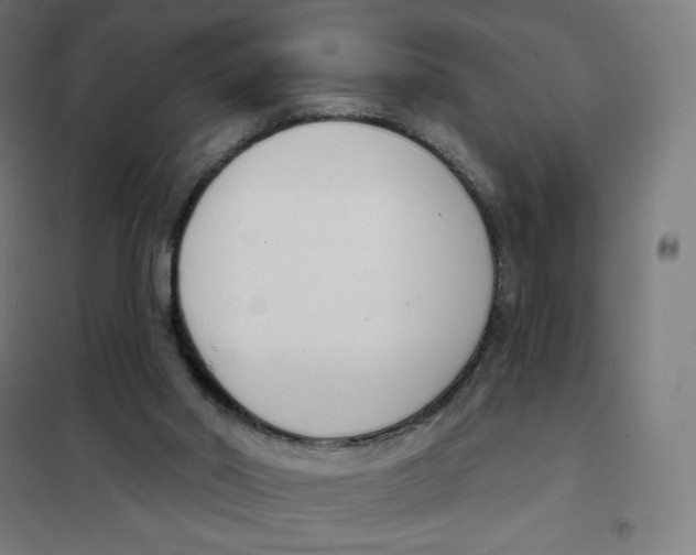 X0000101230014200807251145