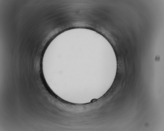 X0000101230015200807251145