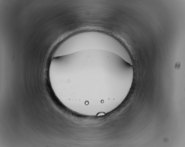 X0000101230016200807251145