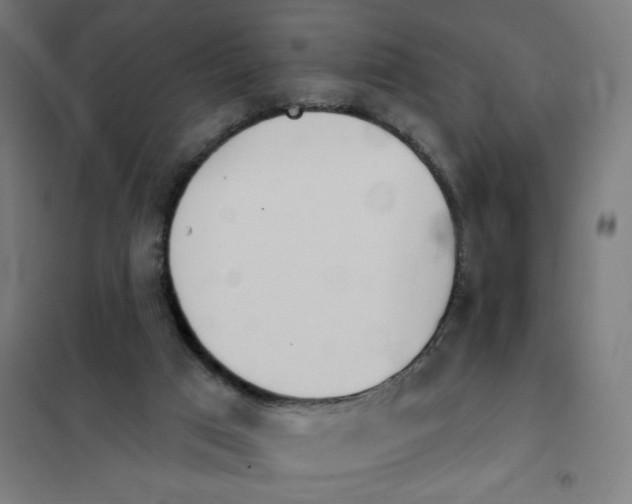 X0000101230017200807251145