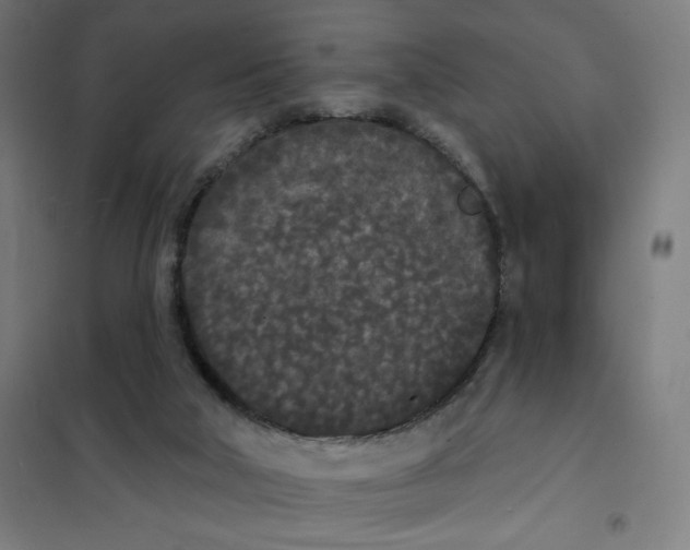 X0000101230018200807251145