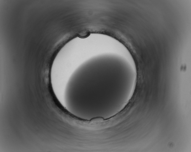 X0000101230019200807251145