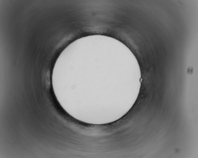 X0000101230020200807251145