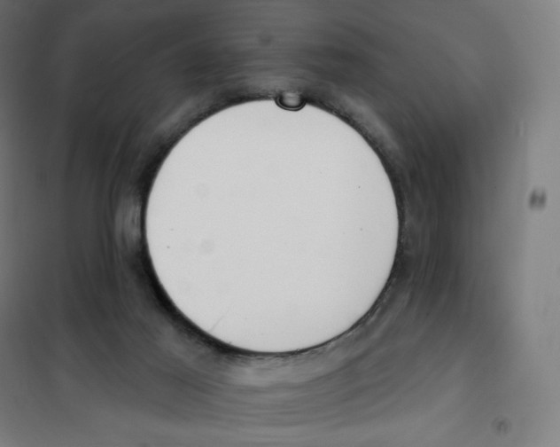 X0000101230021200807251145