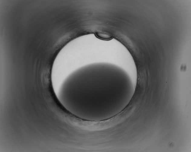 X0000101230023200807251145