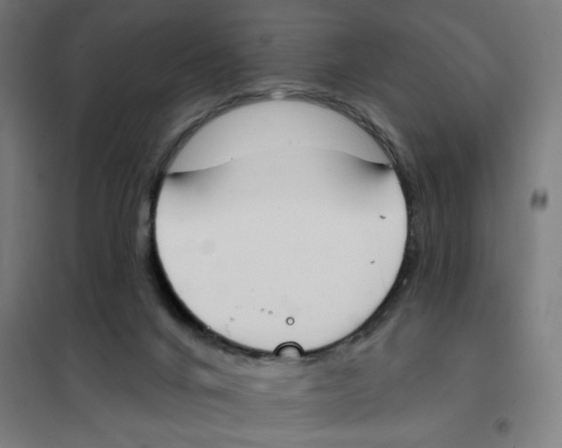 X0000101230024200807251145