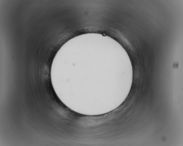 X0000101230025200807251145