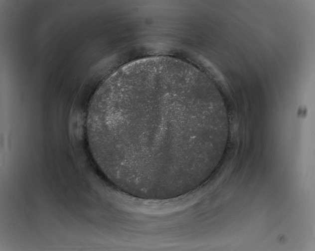 X0000101230026200807251145