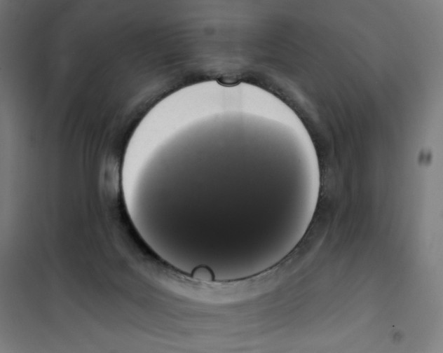 X0000101230027200807251145