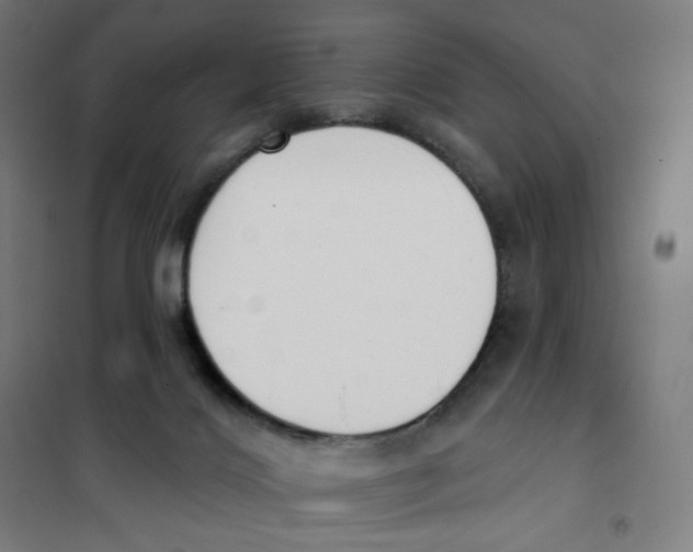 X0000101230028200807251145