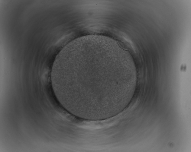 X0000101230029200807251145
