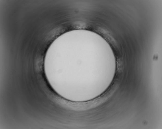 X0000101230030200807251145