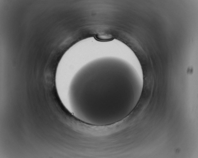 X0000101230031200807251145