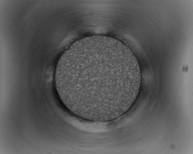 X0000101230032200807251145