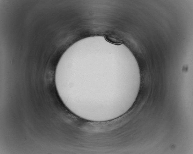 X0000101230033200807251145