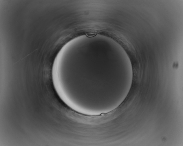 X0000101230035200807251145