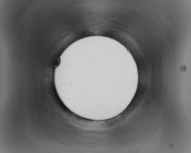 X0000101230036200807251145