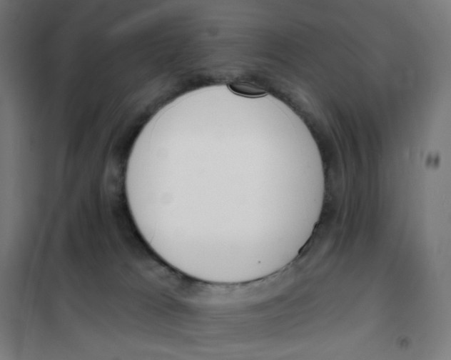 X0000101230037200807251145