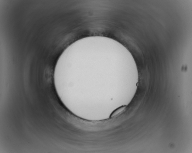 X0000101230038200807251145